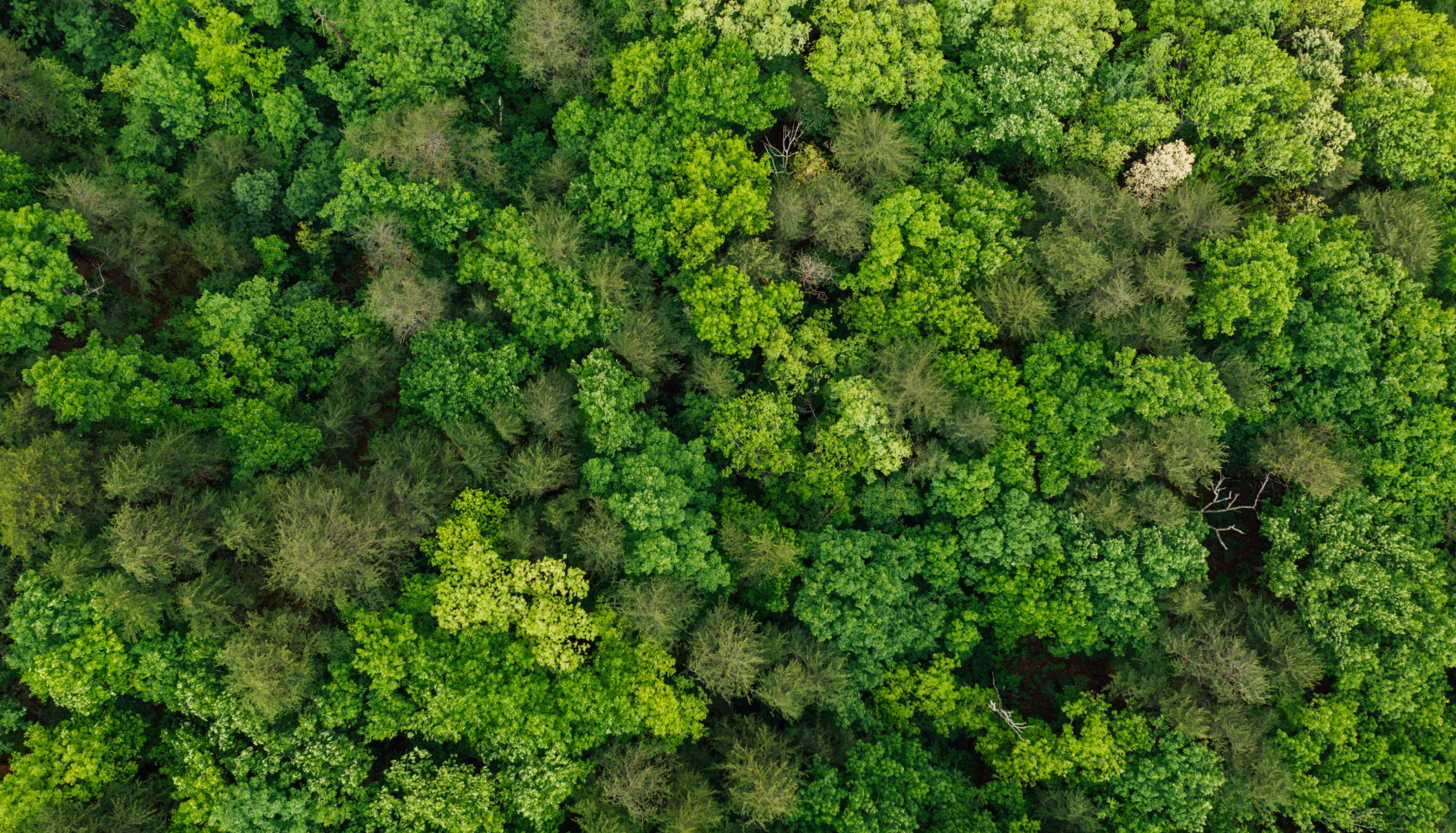 Environmental<br>Social<br>Governance