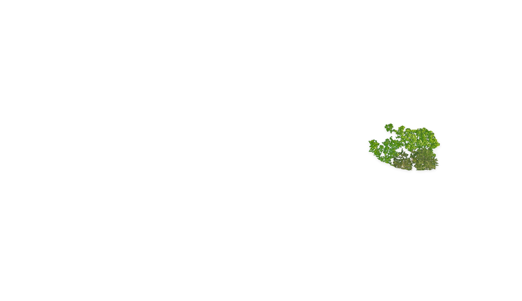 Environmental<br>Social<br>Governance