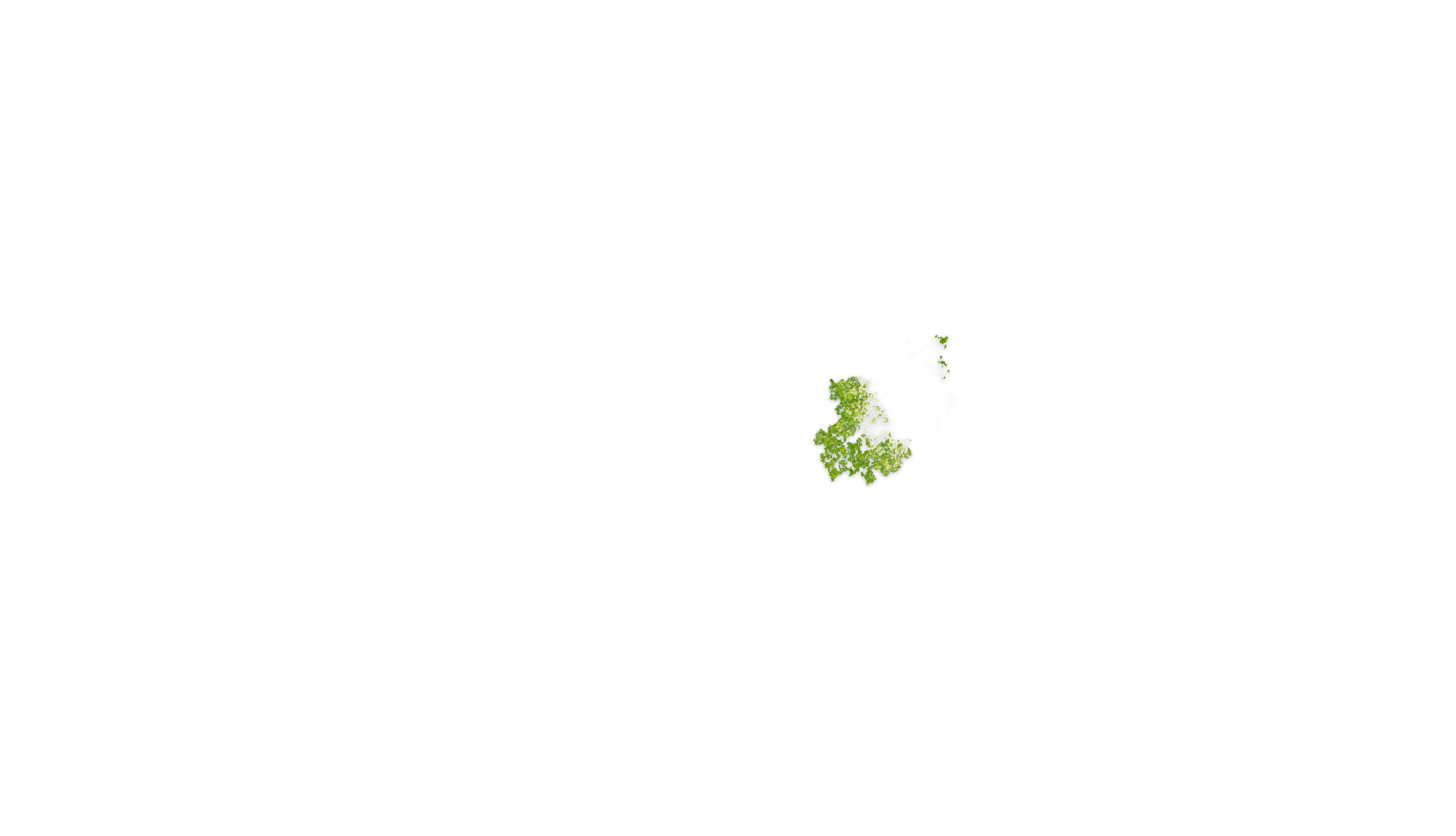 Environmental<br>Social<br>Governance